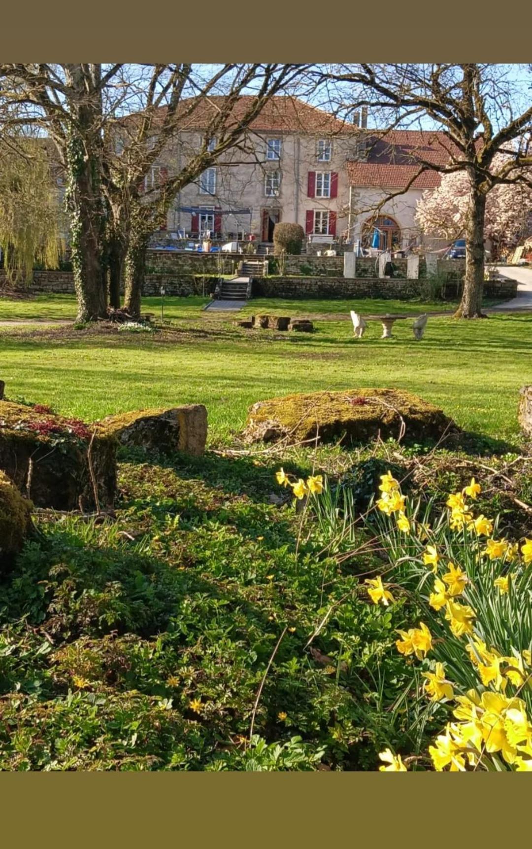 Le Domaine D'Elise Chambres Et Table D'Hotes - Vosges Saint-Ouen-les-Parey 외부 사진